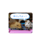 もも♡きなこ（個別スタンプ：15）