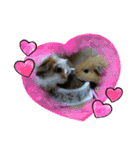 もも♡きなこ（個別スタンプ：16）
