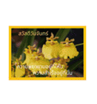 1週間のタイ色ภาษาไทย phaasǎa thay 2（個別スタンプ：11）
