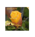 1週間のタイ色ภาษาไทย phaasǎa thay 2（個別スタンプ：15）