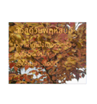 1週間のタイ色ภาษาไทย phaasǎa thay 2（個別スタンプ：20）