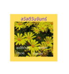 1週間のタイ色ภาษาไทย phaasǎa thay 2（個別スタンプ：24）