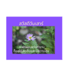 1週間のタイ色ภาษาไทย phaasǎa thay 2（個別スタンプ：28）