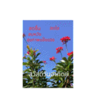 1週間のタイ色ภาษาไทย phaasǎa thay 2（個別スタンプ：29）