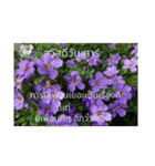1週間のタイ色ภาษาไทย phaasǎa thay 2（個別スタンプ：34）