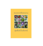 1週間のタイ色ภาษาไทย phaasǎa thay 2（個別スタンプ：38）