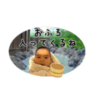 そたんぷ・ゆなんぷ1️⃣（個別スタンプ：24）