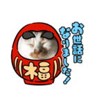 まめきゅーと♡ブラザーズ1（個別スタンプ：3）