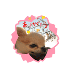 まめきゅーと♡ブラザーズ1（個別スタンプ：10）