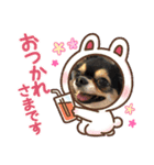 まめきゅーと♡ブラザーズ1（個別スタンプ：13）