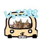 にゃん達！！第3弾！！（個別スタンプ：5）