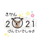 保護犬めるのワンだふるスタンプ♡（個別スタンプ：18）