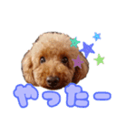 高橋家のハルくん2（個別スタンプ：5）