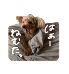おしゃべりルナちゃん（個別スタンプ：5）