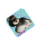 チマちゃんstamp2（個別スタンプ：18）