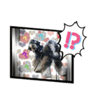 チマちゃんstamp2（個別スタンプ：19）