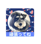 チマちゃんstamp2（個別スタンプ：31）