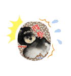 チマちゃんstamp2（個別スタンプ：36）