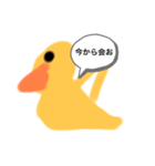 ピヨちゃんのお誘い（個別スタンプ：4）