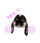 うさぎのトワくん－普段使えるメッセージ（個別スタンプ：24）