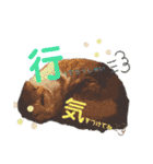 きなちゃん(日常編)（個別スタンプ：7）