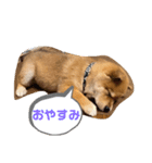 raito0804（個別スタンプ：2）