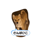 raito0804（個別スタンプ：5）