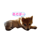raito0804（個別スタンプ：7）
