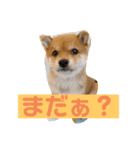 raito0804（個別スタンプ：8）