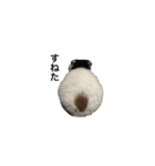 あんもさん（個別スタンプ：4）