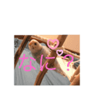 うちのインコ。（個別スタンプ：3）