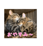 ミックとフックのスタンプ（個別スタンプ：2）