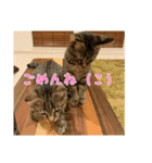 ミックとフックのスタンプ（個別スタンプ：4）