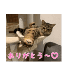 ミックとフックのスタンプ（個別スタンプ：5）