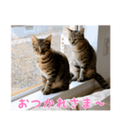 ミックとフックのスタンプ（個別スタンプ：6）