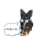 チワワの毎日①（個別スタンプ：11）