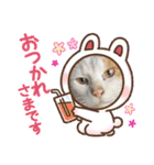 さやかのあにまる！（個別スタンプ：1）