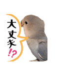 すいすい2（個別スタンプ：6）