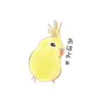 やさトリ（個別スタンプ：1）
