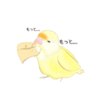 やさトリ（個別スタンプ：3）