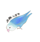 やさトリ（個別スタンプ：4）