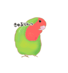 やさトリ（個別スタンプ：5）