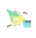やさトリ（個別スタンプ：6）