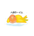 やさトリ（個別スタンプ：8）