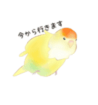 やさトリ（個別スタンプ：11）