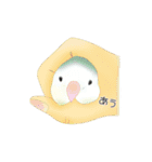 やさトリ（個別スタンプ：13）