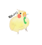 やさトリ（個別スタンプ：15）