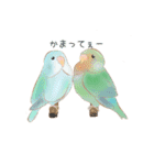 やさトリ（個別スタンプ：24）