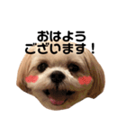てっちゃんのけいご（個別スタンプ：1）