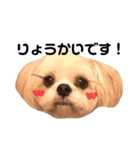てっちゃんのけいご（個別スタンプ：2）